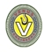 Venus Engineers Logo